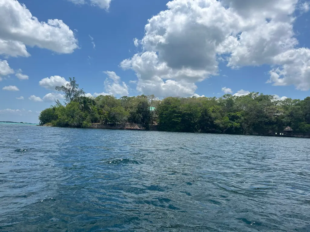 Bacalar