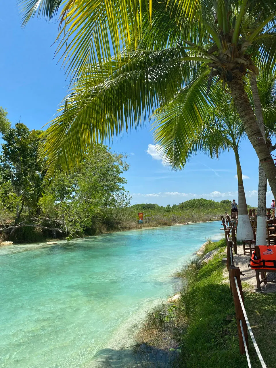 Bacalar