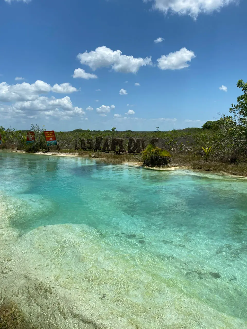Bacalar