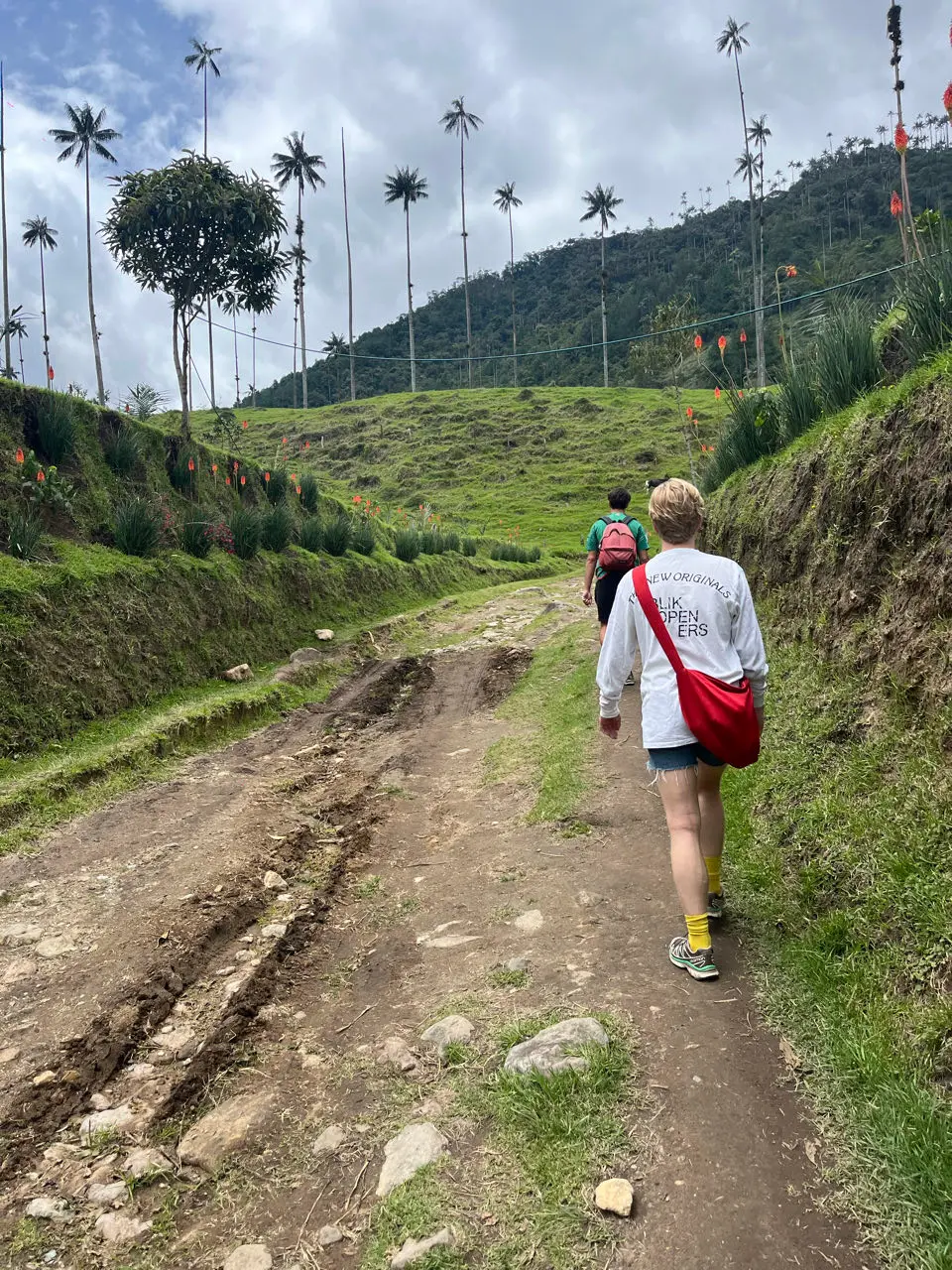 Valle de cocora