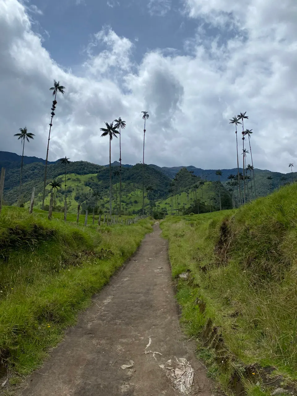 Valle de cocora