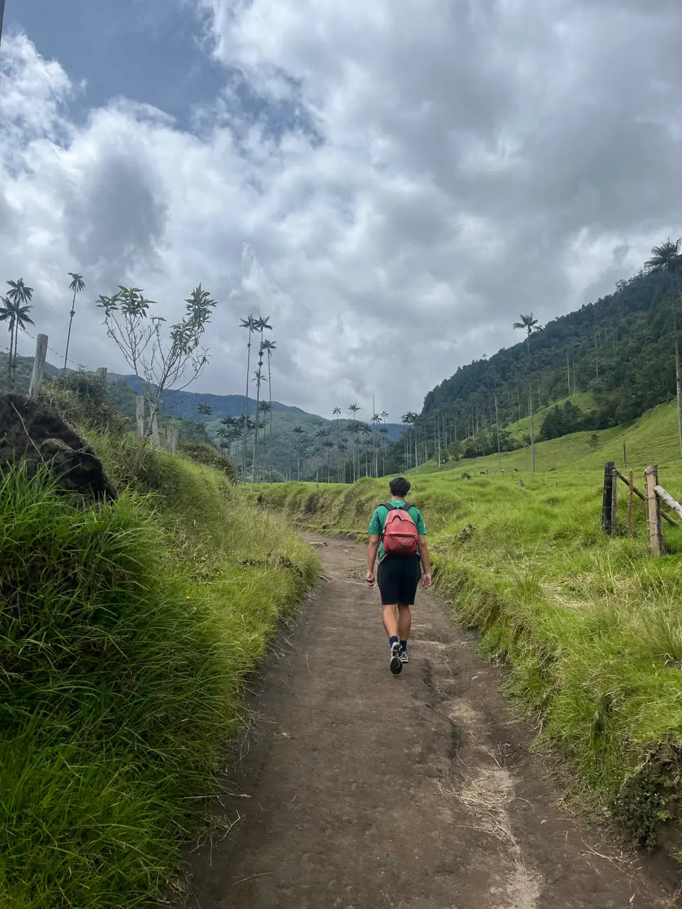 Valle de cocora
