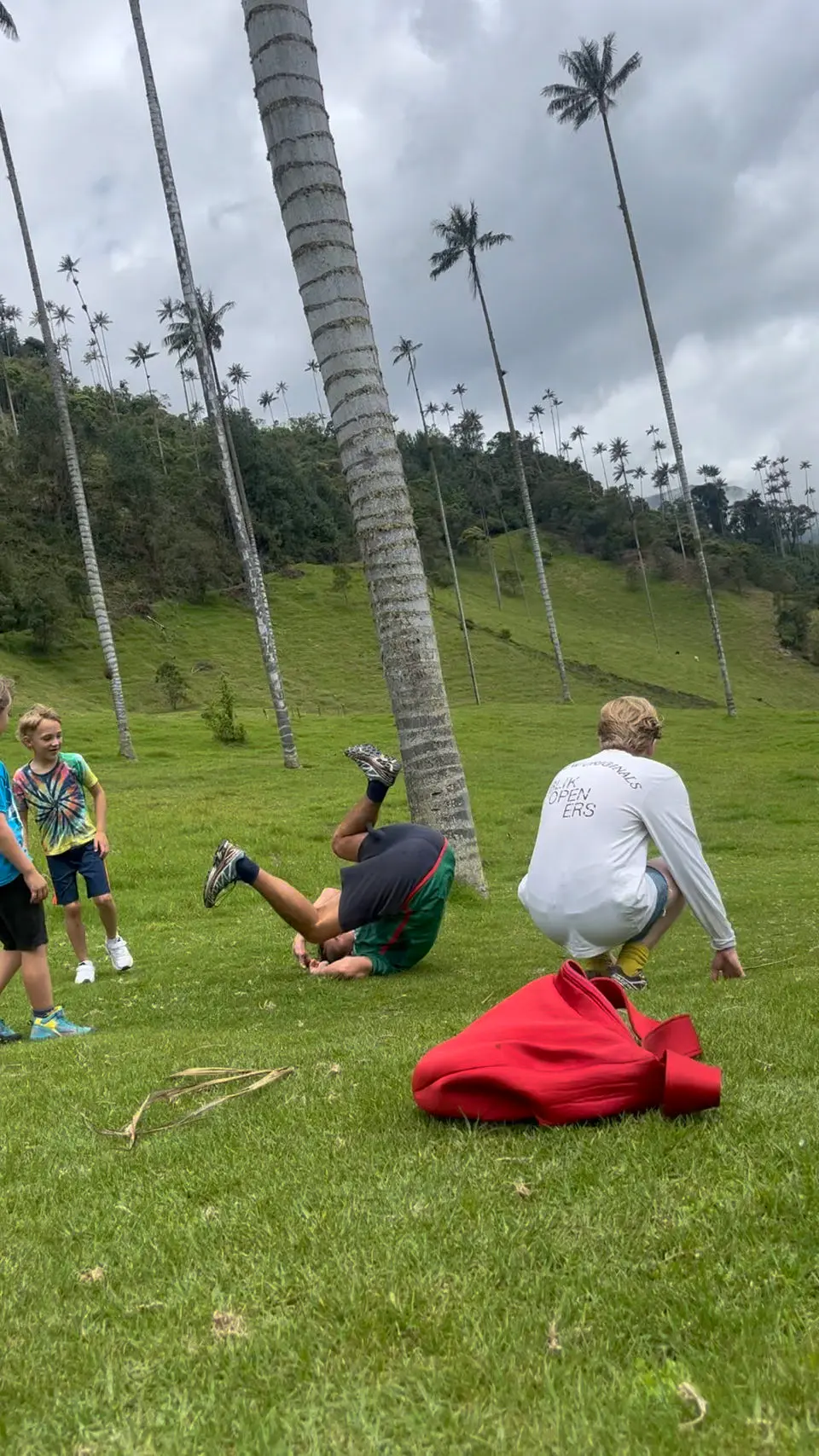 Valle de Cocora wandelen: routes, tijden en tips