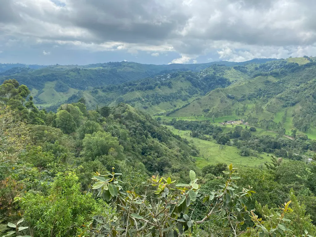 Finca El Mirador Montañero