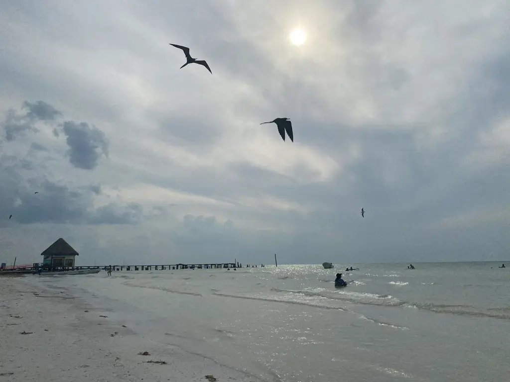 Holbox