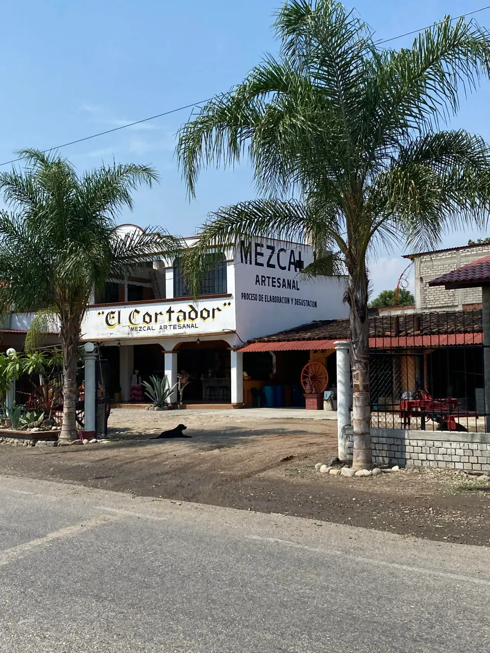 Mitla