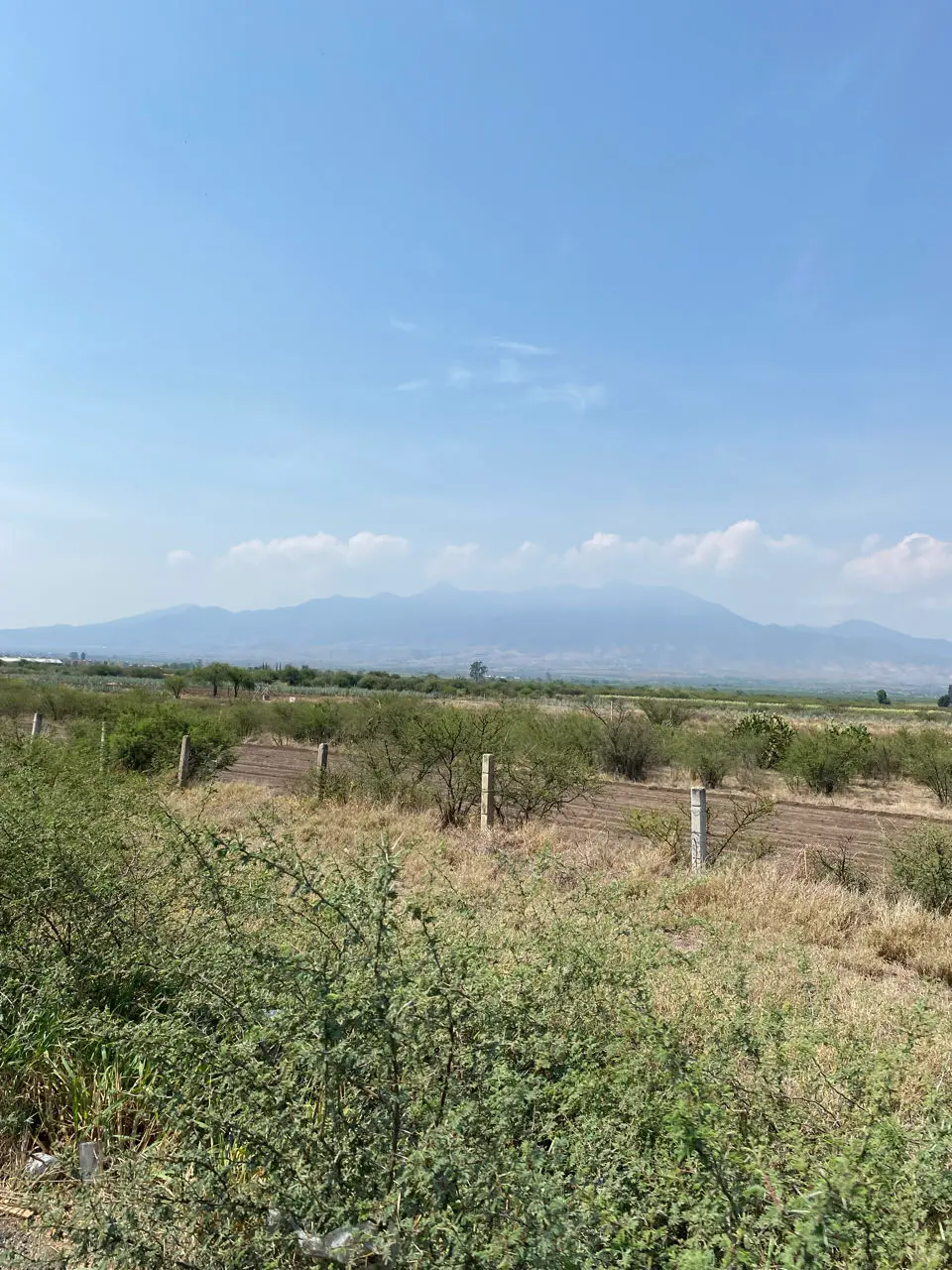 Mitla