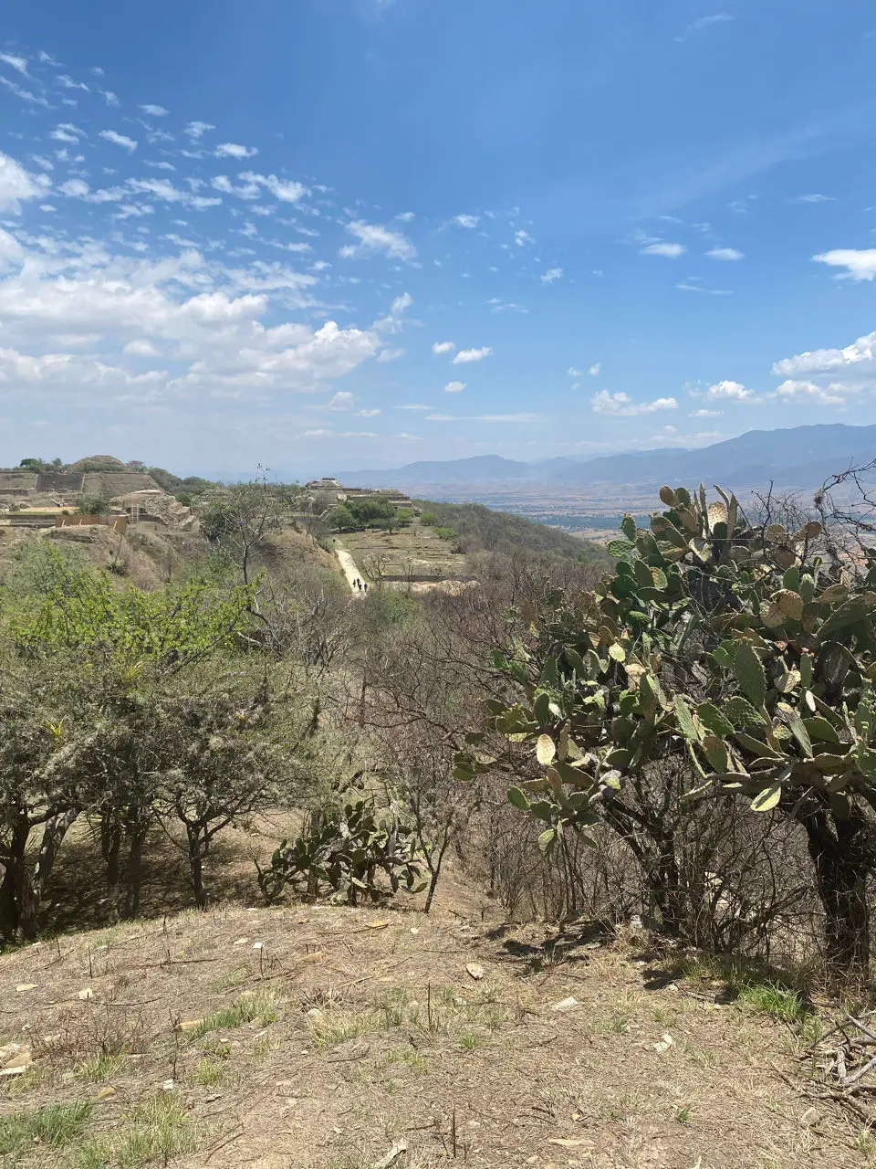 Santa Cruz Xoxocotlán