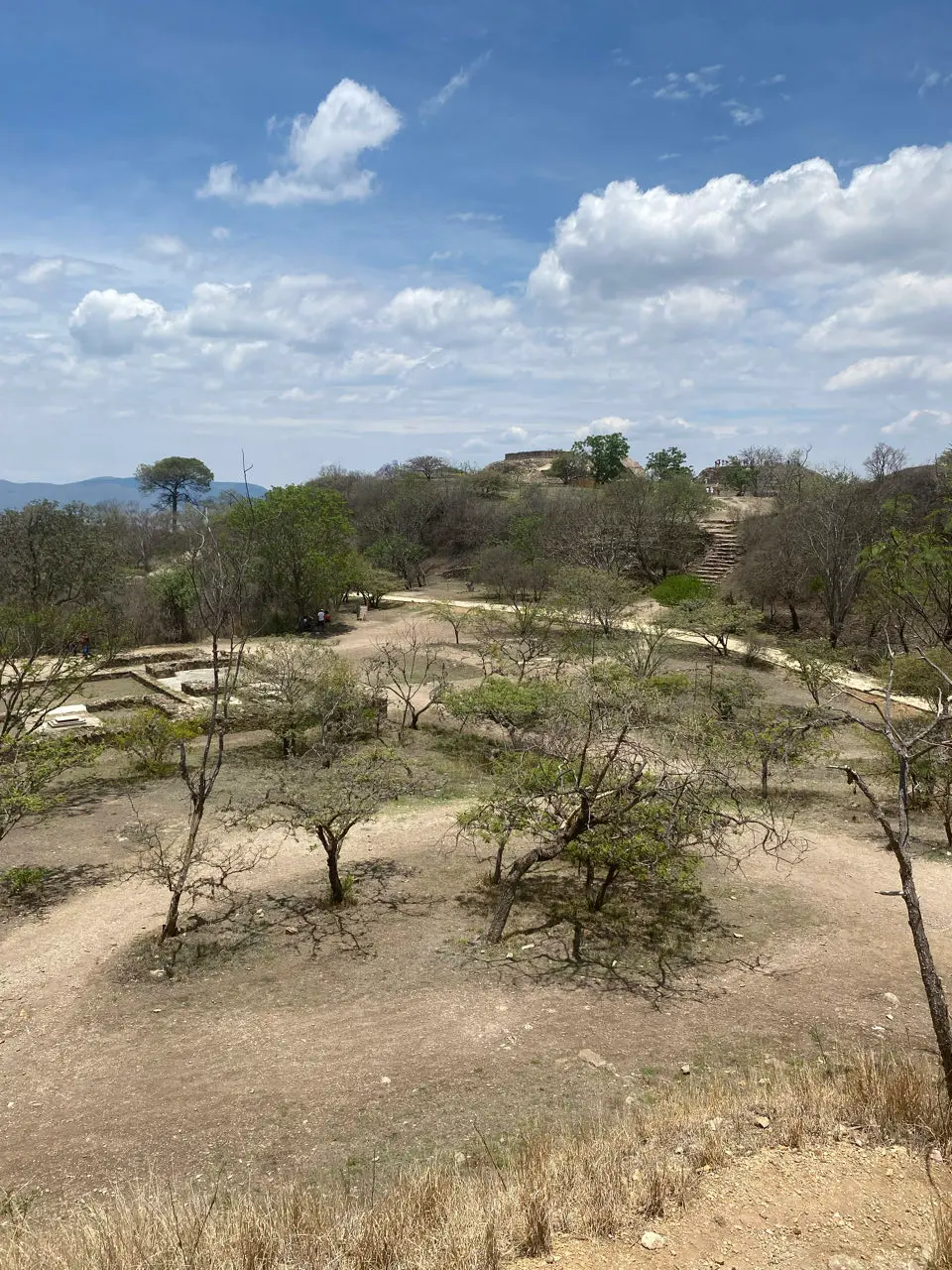 Santa Cruz Xoxocotlán