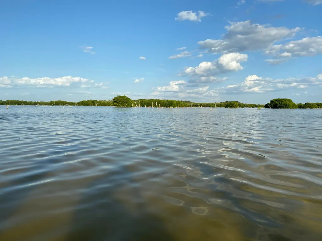 Hunucmá
