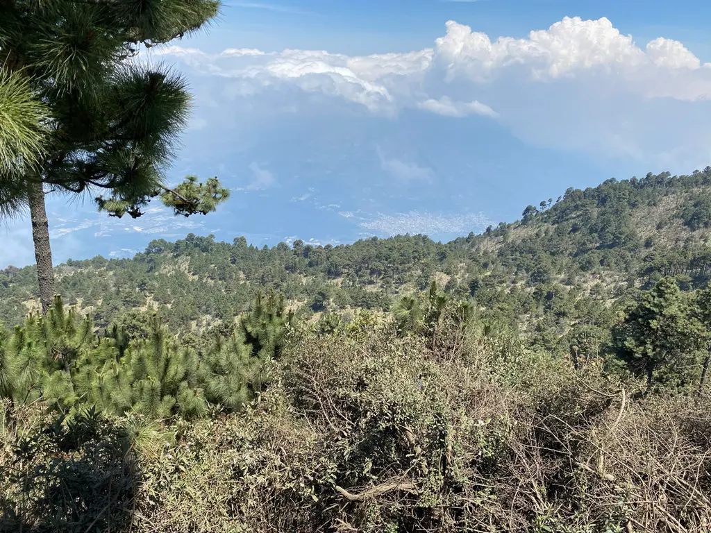 Acatenango