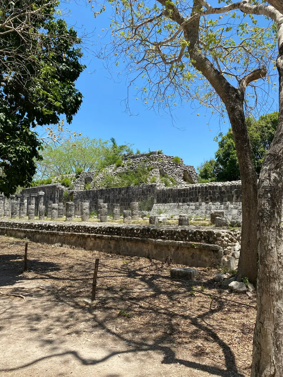 San Felipe Nuevo