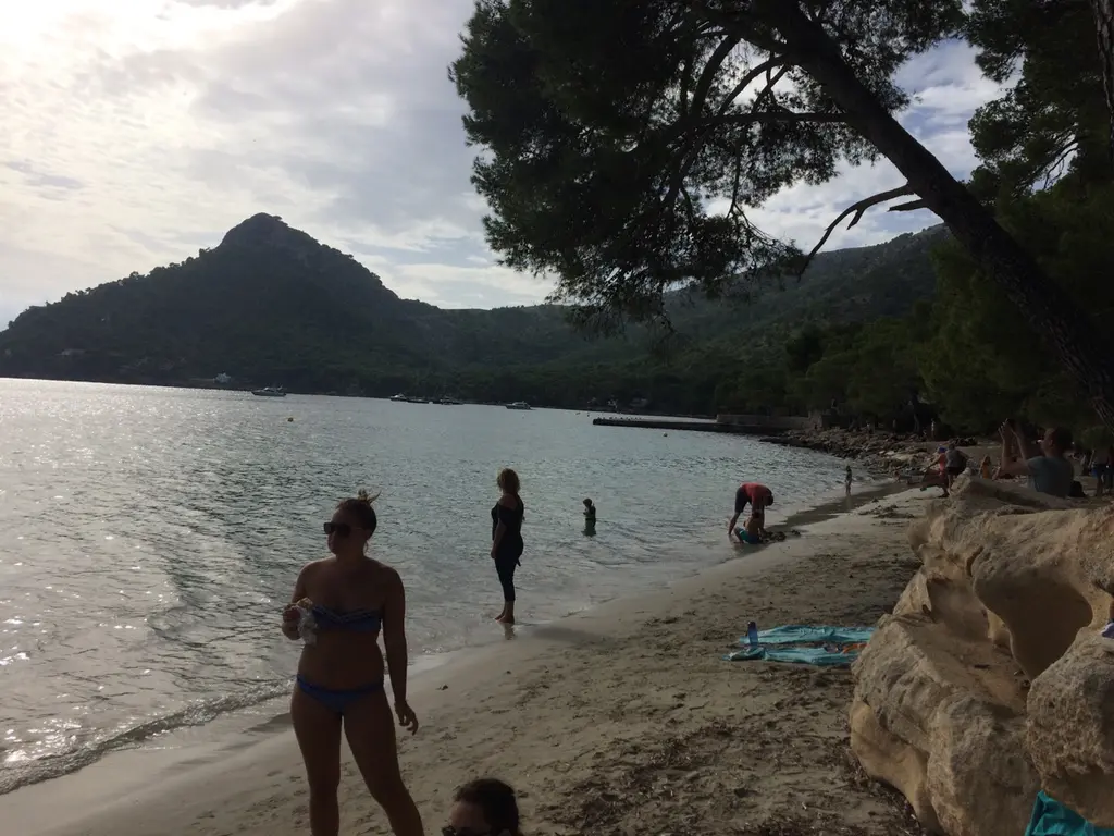 Alcudia