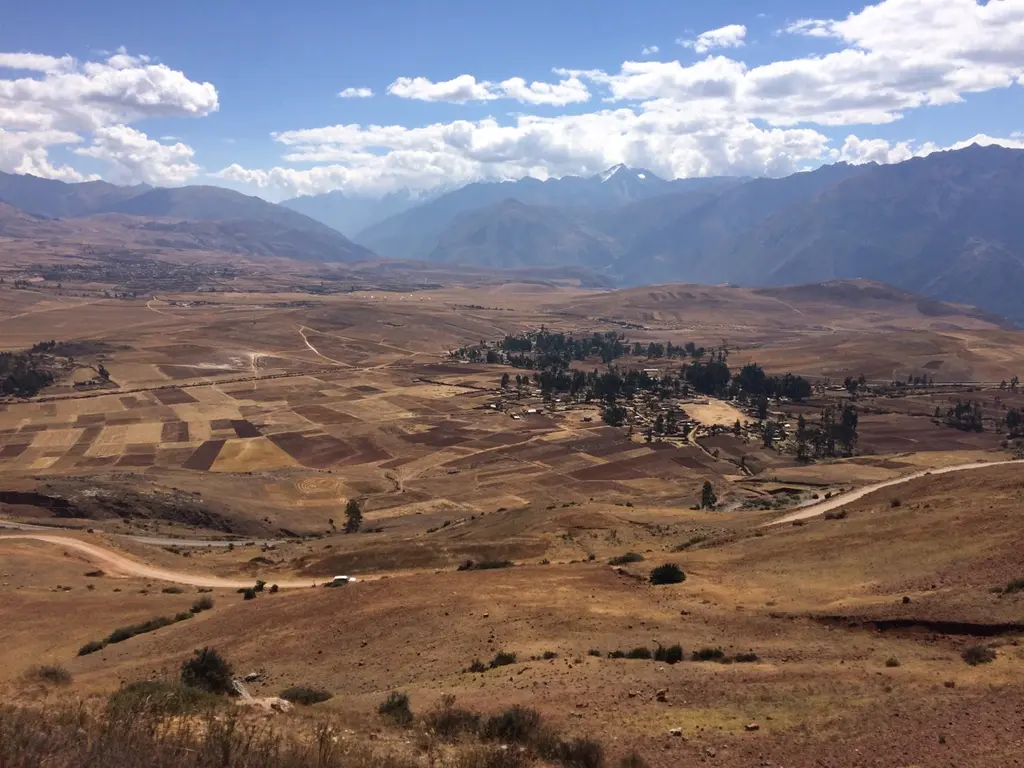 Maras