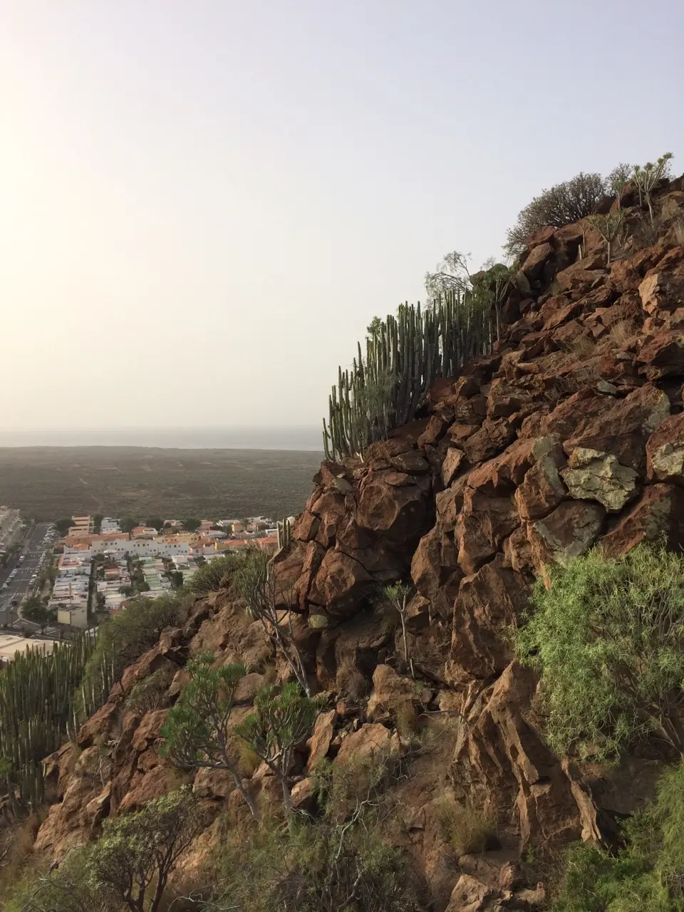Granadilla de abona