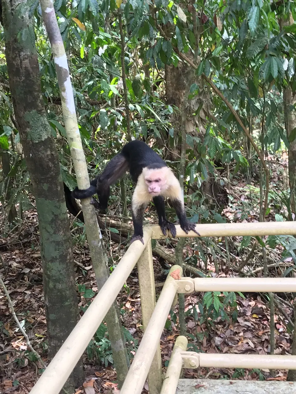 Somewhere in Costa Rica