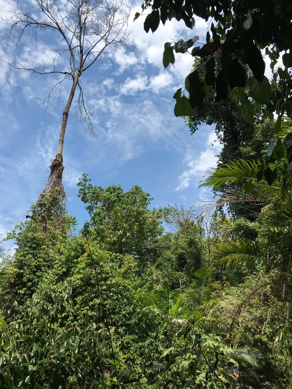 Somewhere in Costa Rica