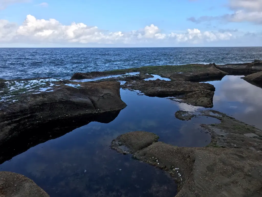 Royal National Park