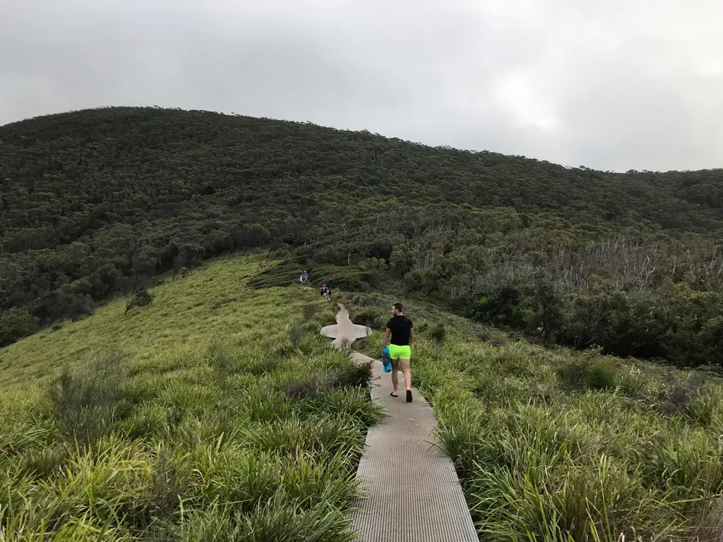 Royal National Park