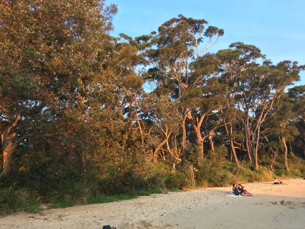 Beecroft peninsula