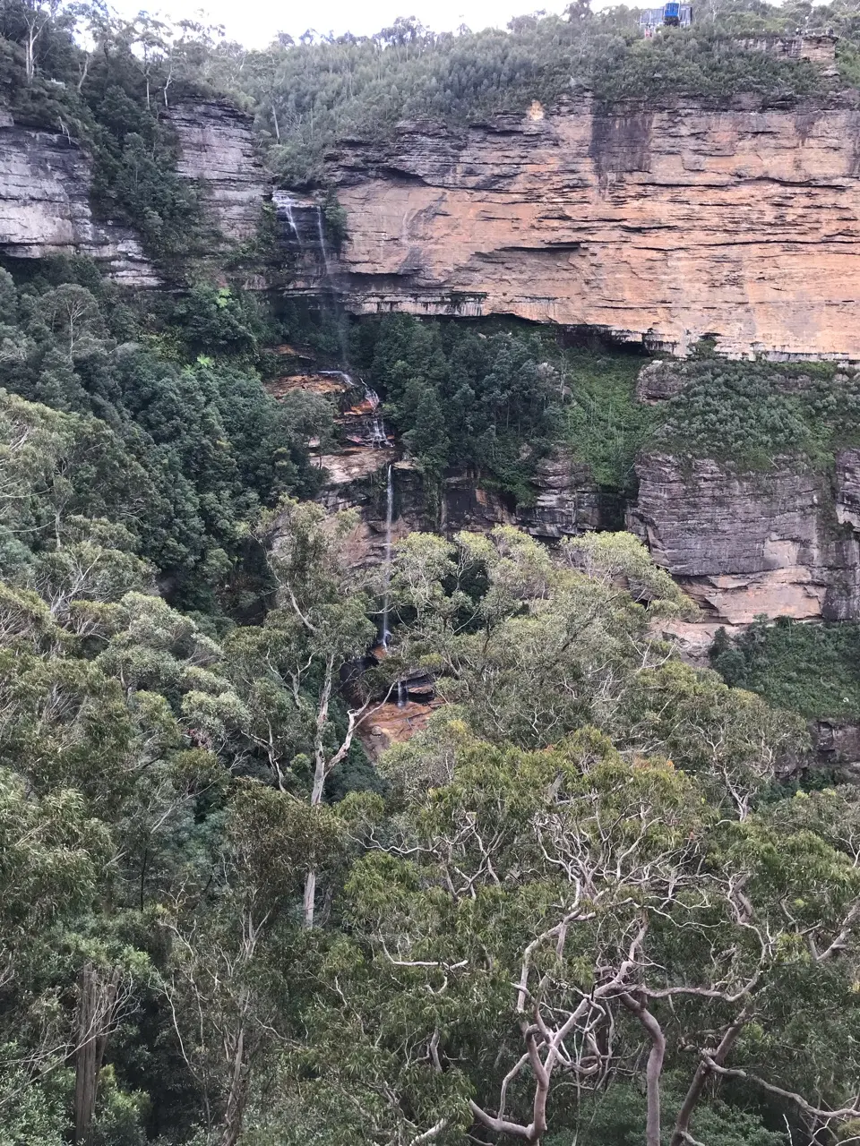 Blue mountains national park