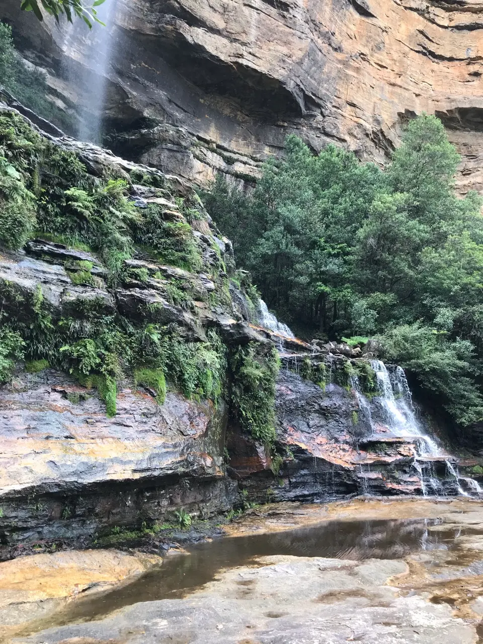 Blue mountains national park