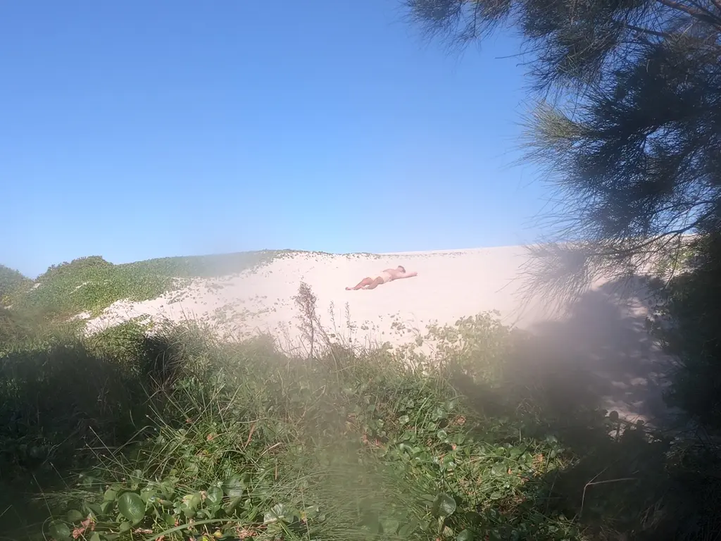 Seal rocks