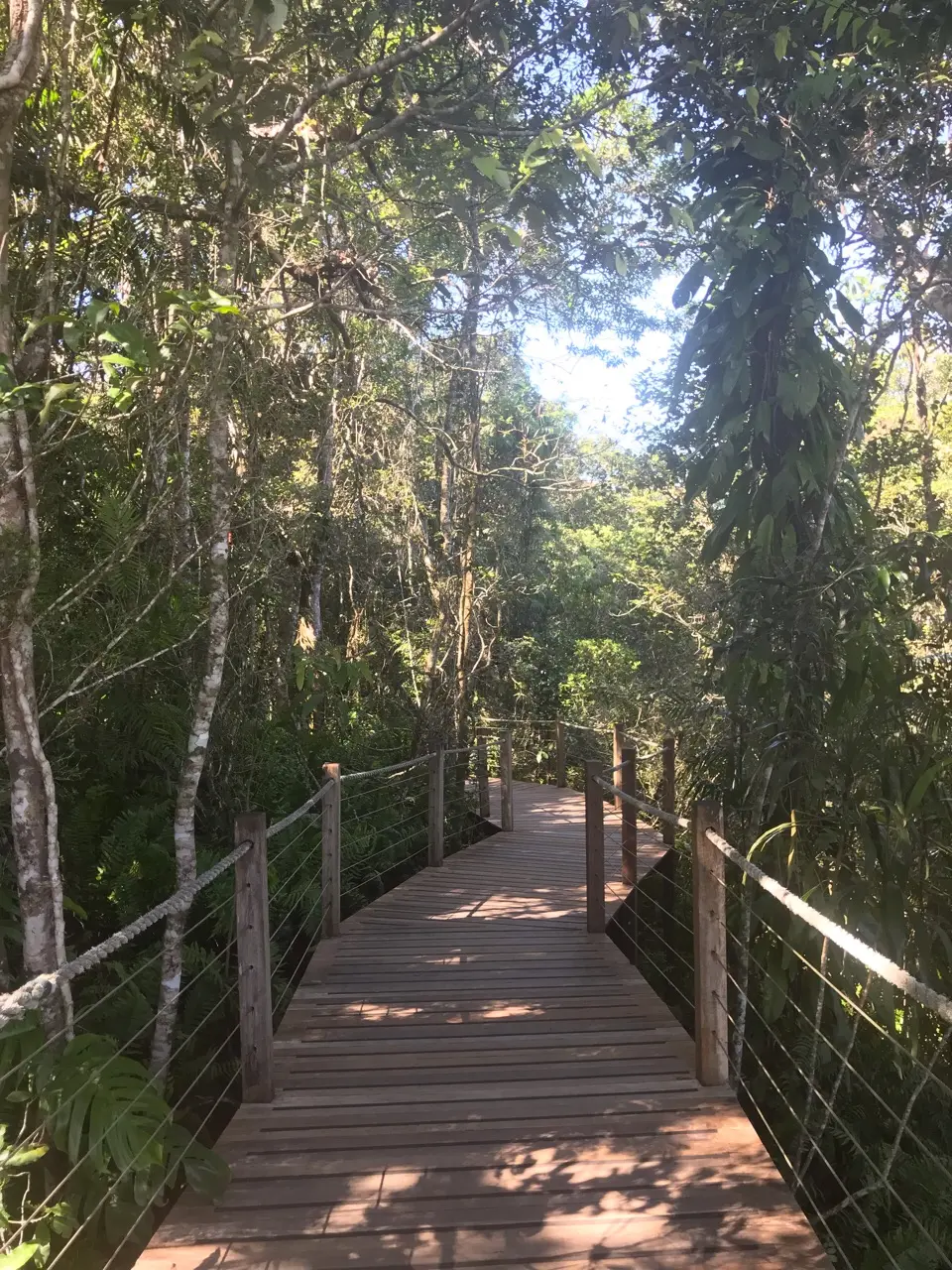 Kuranda