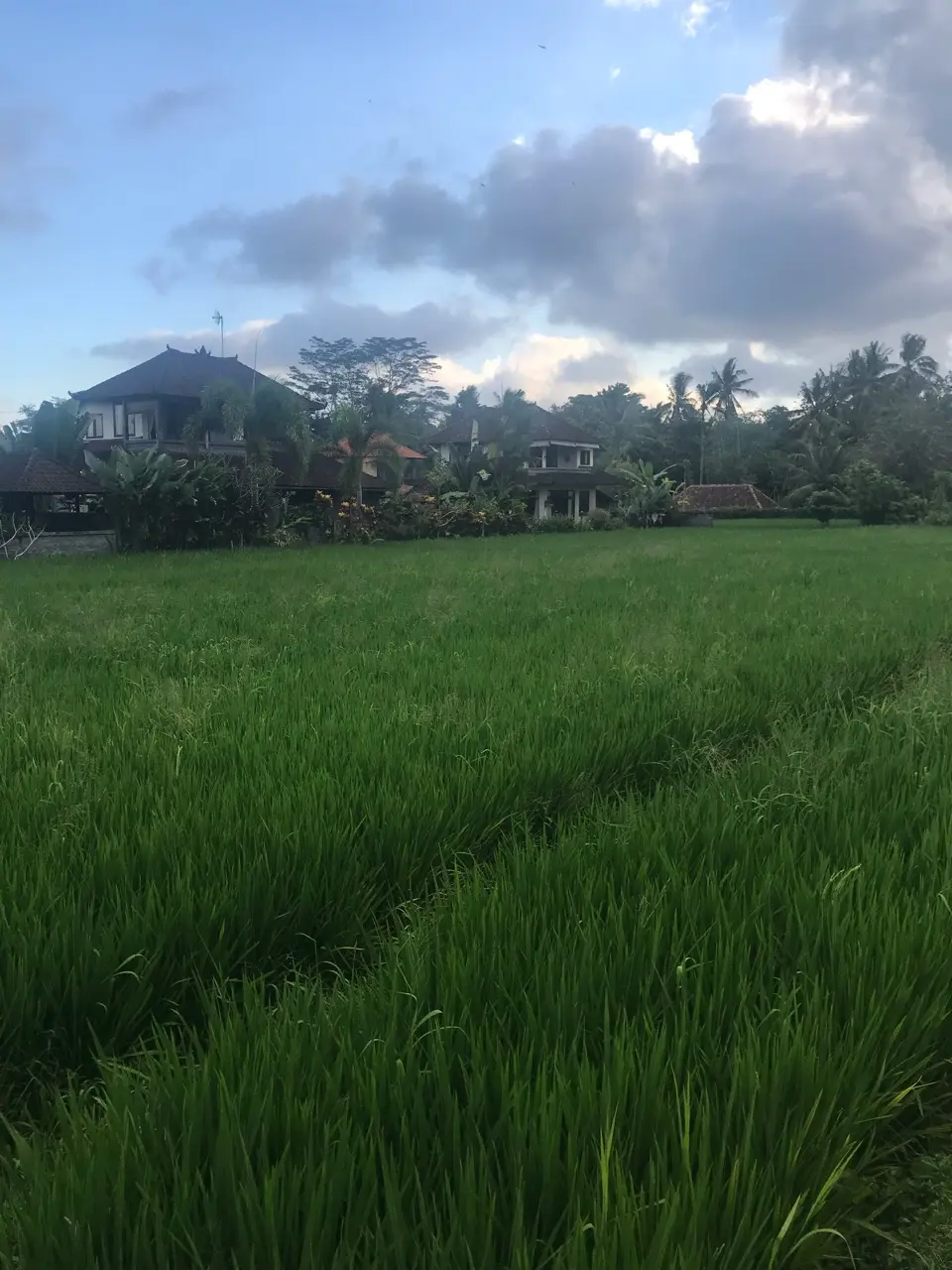 Tanah lot