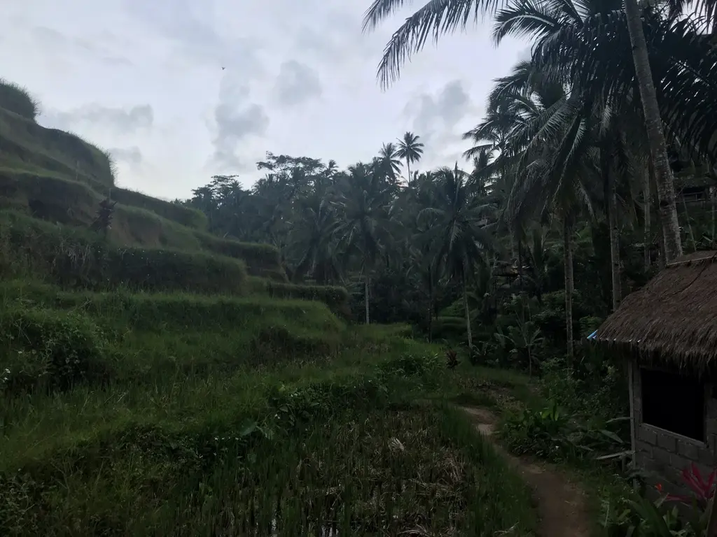 Tanah Lot: reisgids en ervaring in Indonesië