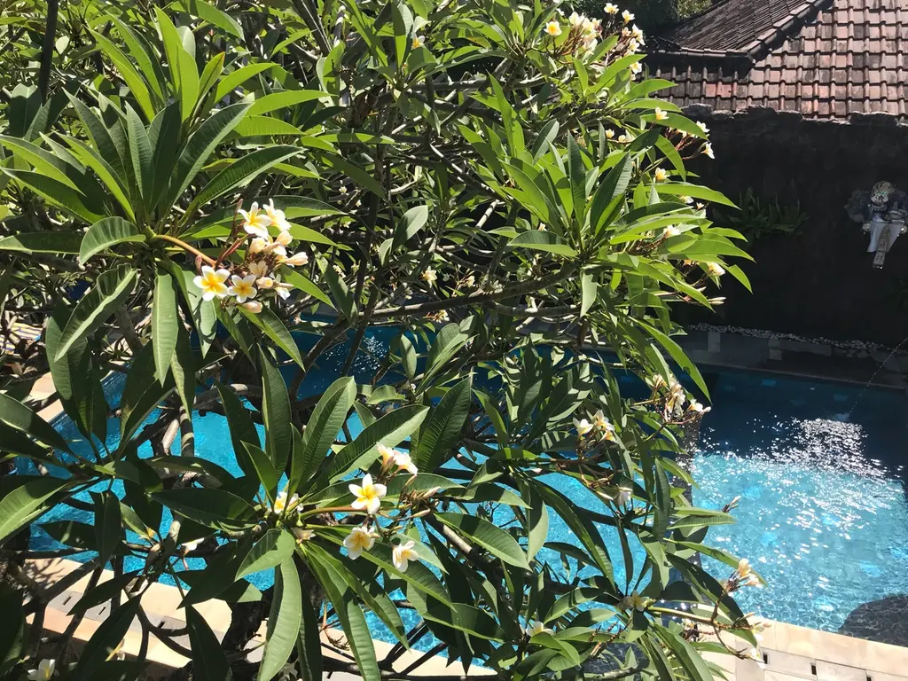 Merapi: reisgids en ervaring in Indonesië