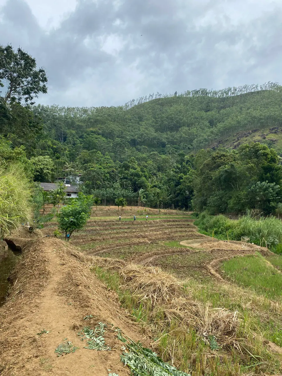 Ella: reisgids en ervaring in Sri Lanka