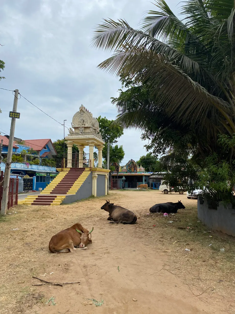 Trincomalee Town and Gravets