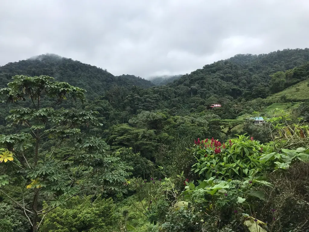 San carlos