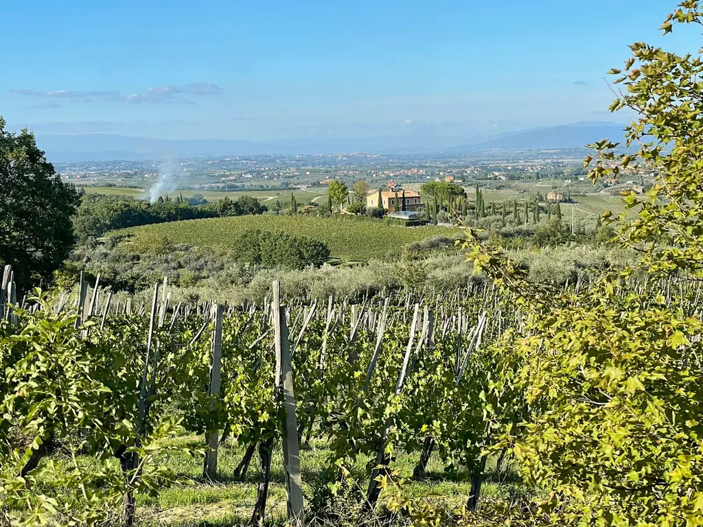 Montepulciano