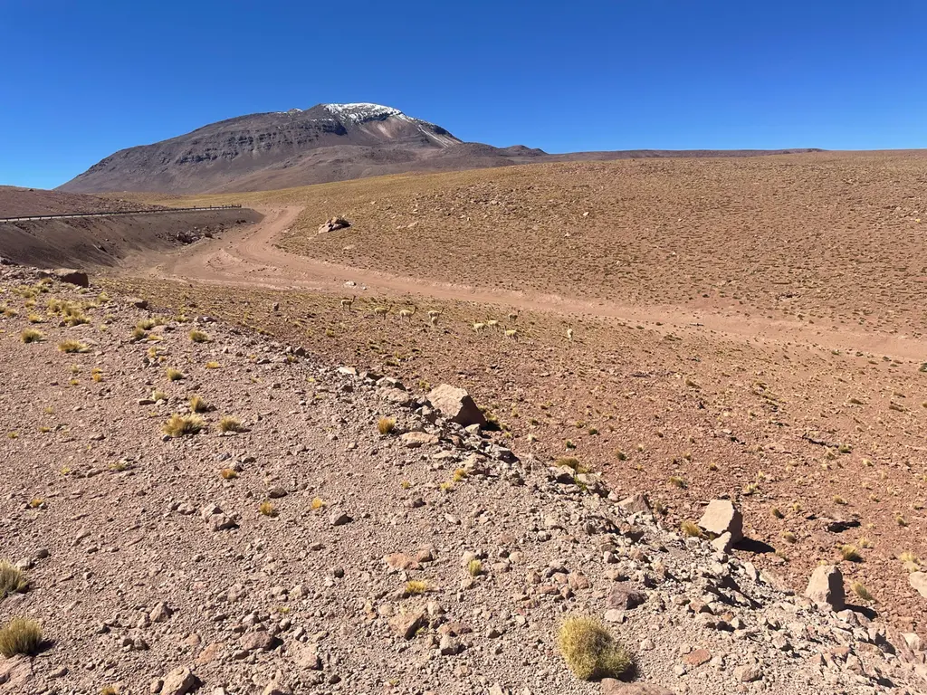 El Loa