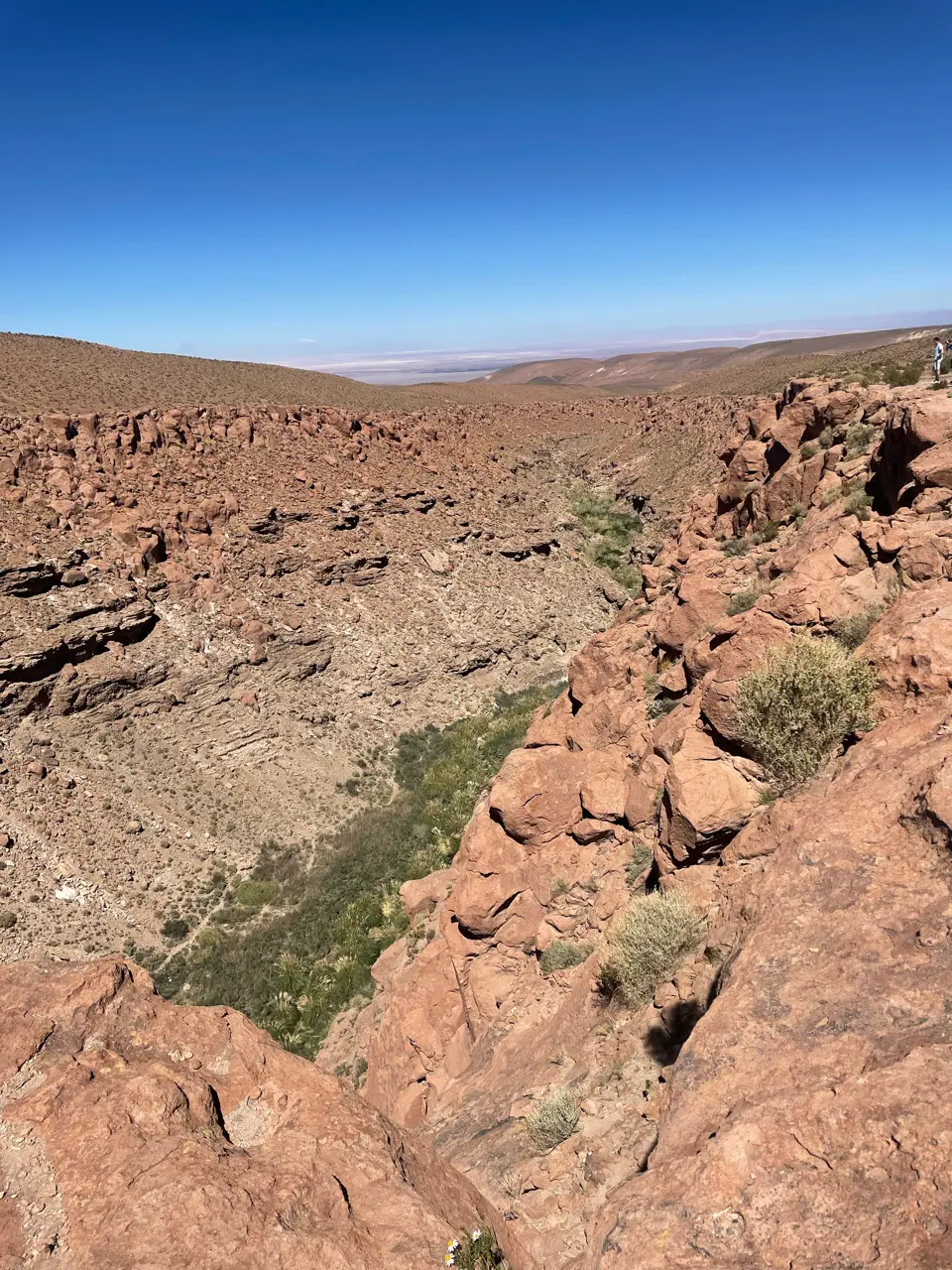 Calama