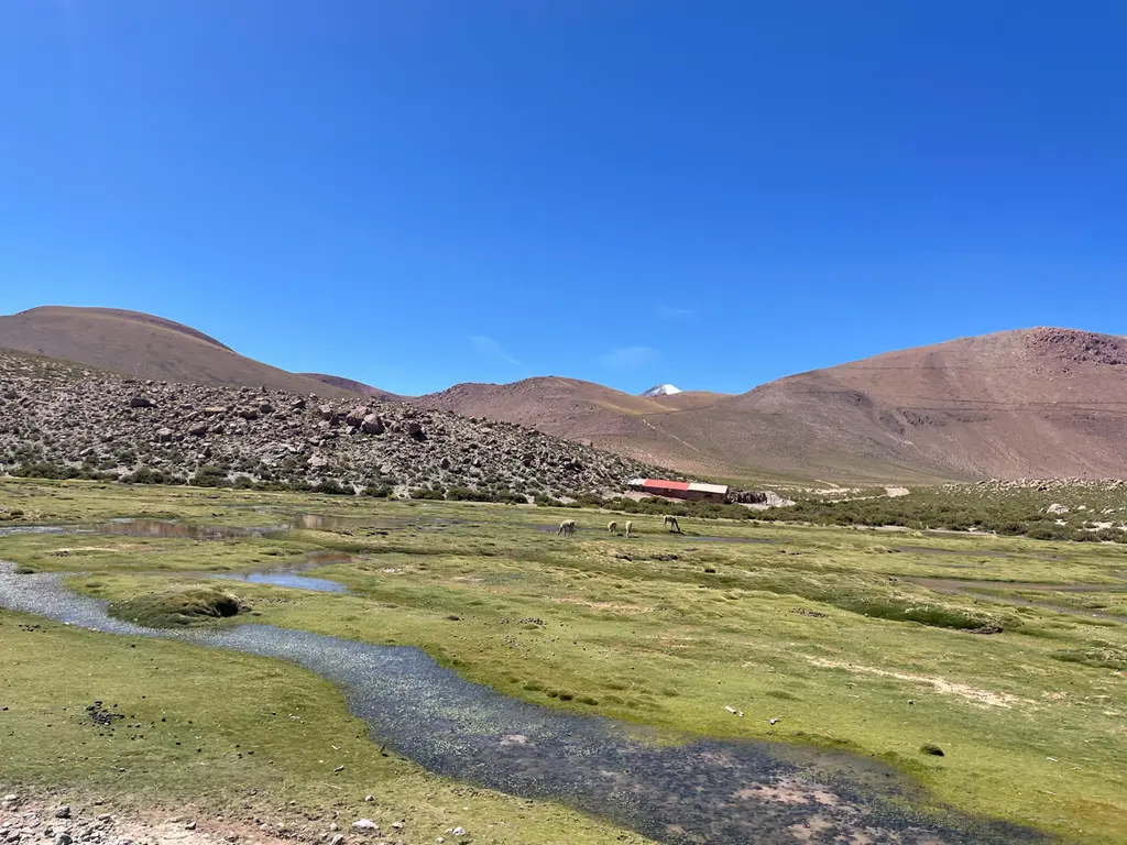 Calama