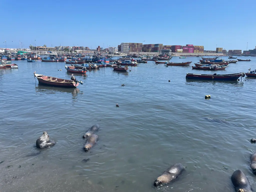 Iquique